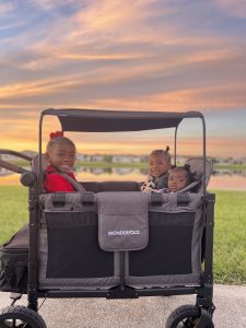 Wonderfold W4 Luxe Wagon Honest Review